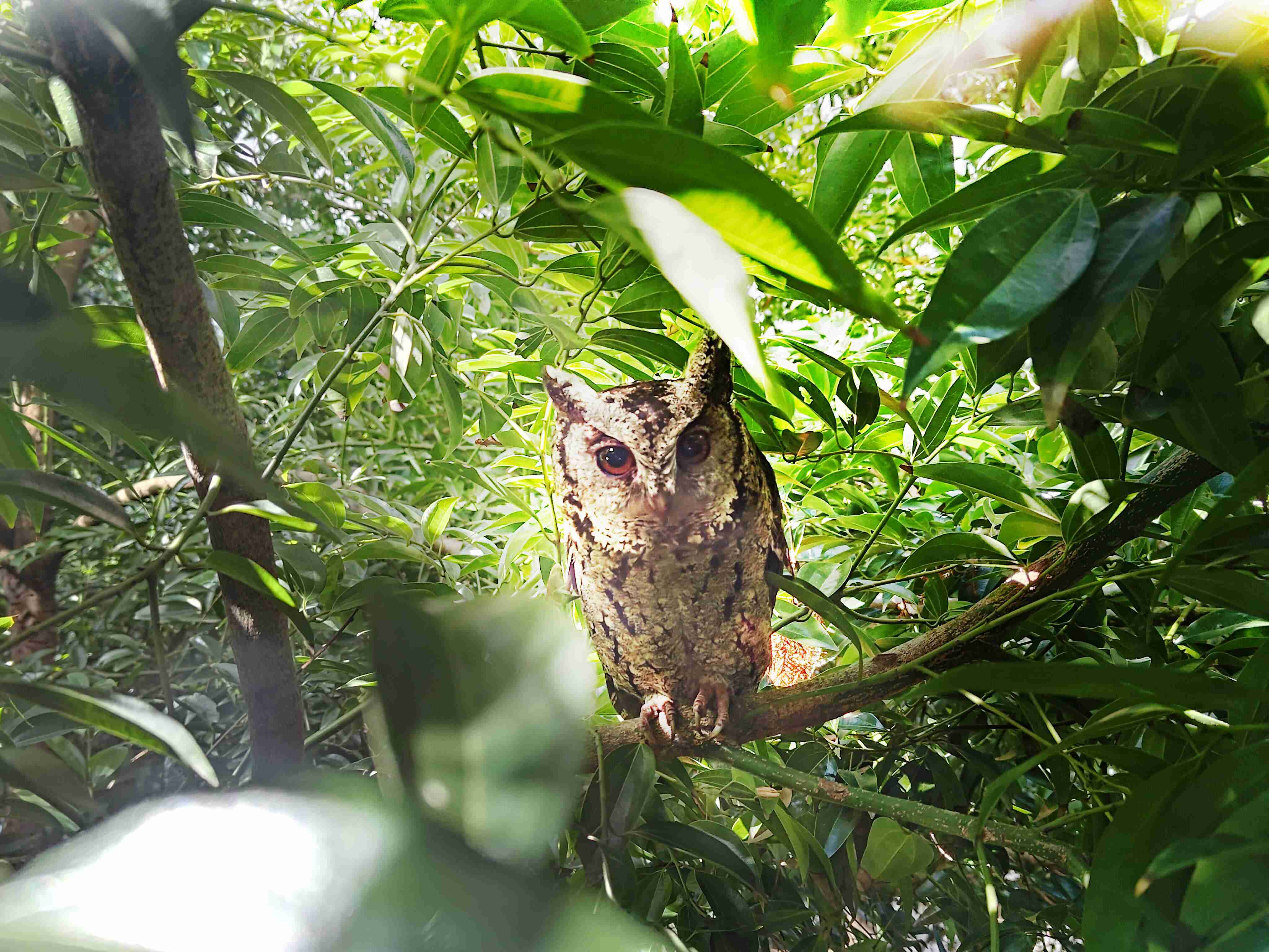 尊龙集团致力提倡净零绿生活，，，，16年以来在全球各厂区植树逾百万棵，，，造就各厂区树木蔚然成林，，犹如森林工厂，，成为许多生物的栖息地